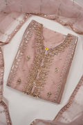 Tehwar - Luxury Organza Outfit - Festive Collection - Ready to Wear