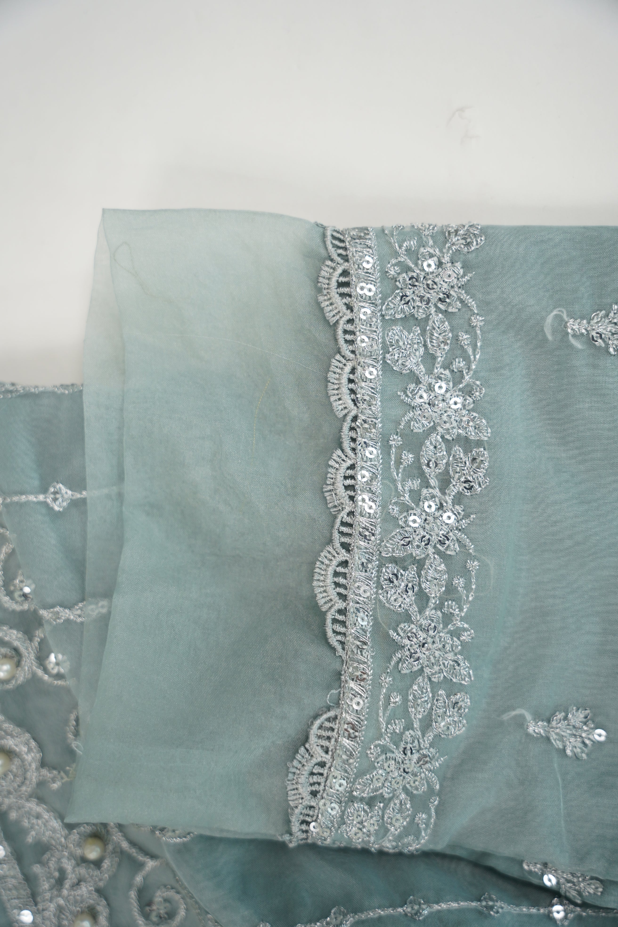 Tehwar - Luxury Organza Outfit - Festive Collection